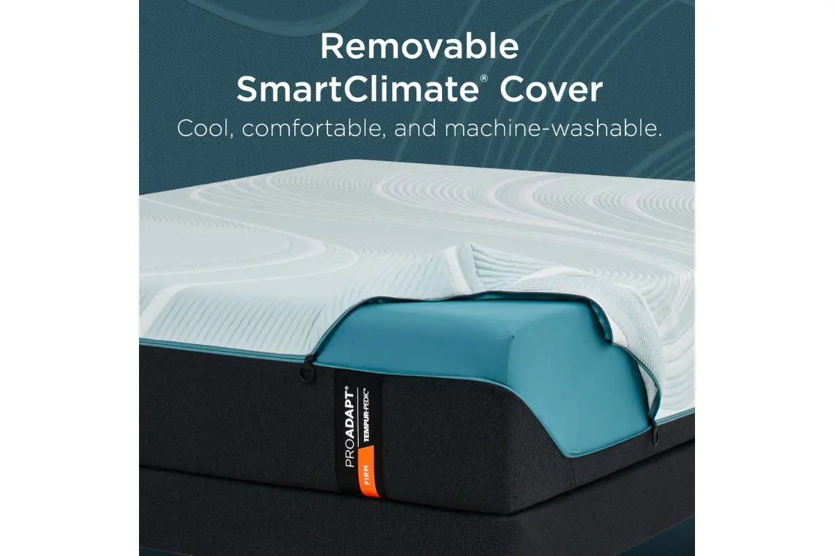 Product image 242